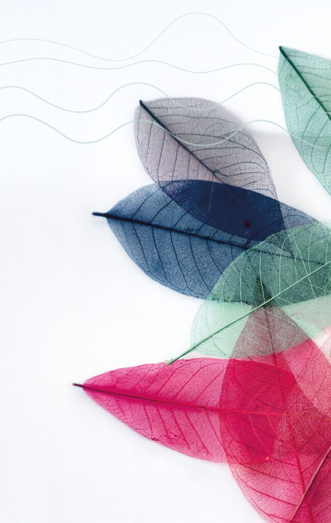 De verloskundige van nu én van straks